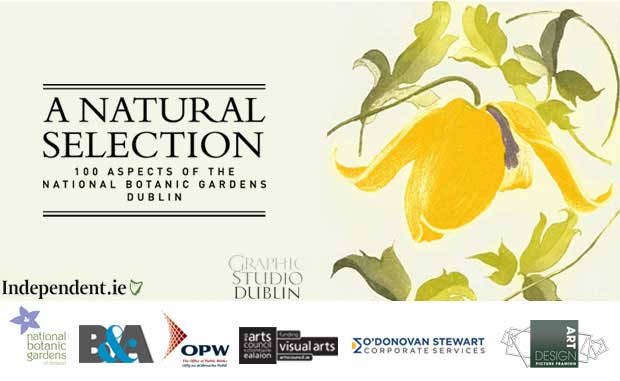 Win a piece of Art by Gráinne Cuffe Win a piece of Art by Gráinne Cuffe