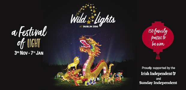 WIN TICKETS TO WILD LIGHTS AT DUBLIN ZOO