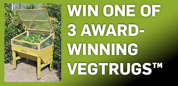 Win one of 3 Award-Winning Vegtrugs™