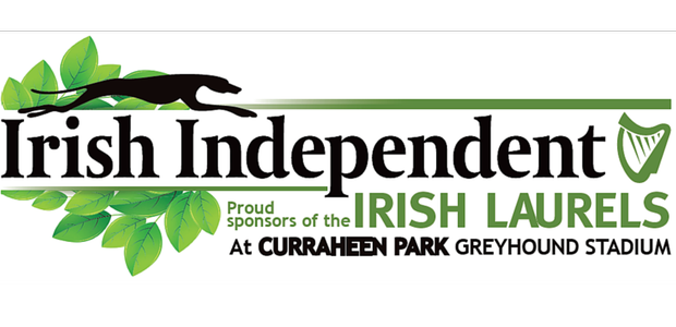 Win a night at the Irish Independent Irish Laurels!