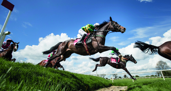 Win a VIP trip to the opening day of Punchestown Festival!