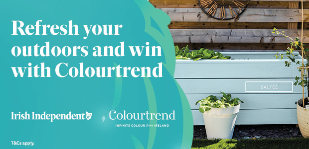 Refresh Your Outdoors and win with Colourtrend