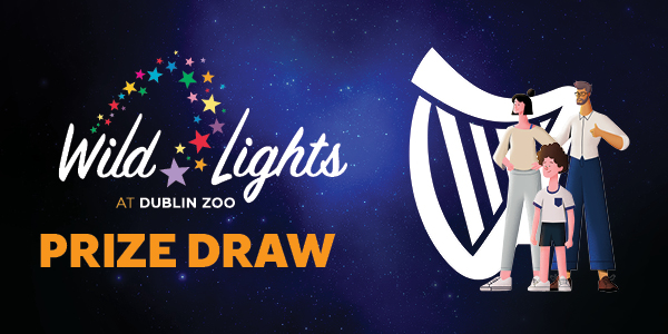 Win 1 of 100 Family Passes to Wild Lights at Dublin Zoo